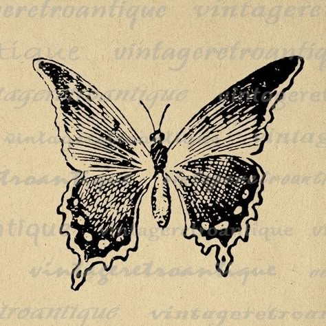 instagram @kylie_francis  // linktr.ee/kylie_francis Butterfly Image, Flying Butterfly, Image Graphic, Vintage Clip Art, Butterfly Printable, Butterfly Images, Butterfly Graphic, White Drawing, Clip Art Vintage