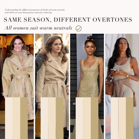 An overtone comparison post with 3 neutral leaning warm seasons. The Soft Autumn Palette, the Bright Spring Palette and finally, the Dark Autumn / Deep Autumn Palette. All 3 of these seasons do not sit on the warmest end of the spectrum in terms of their undertone. They lean slightly warm. Their differences are illustrated in how vibrant the colours are, as well as how light and dark. What is your favourite palette out of these 3 displayed and why? 🤍 . #coloranalysis #colouranalysis #colo... Bright Spring Palette, Deep Autumn Palette, Chloe Outfit, Gamine Outfits, Soft Autumn Deep, Autumn Deep, Soft Autumn Palette, Art Nouveau Fashion, Deep Autumn Color Palette