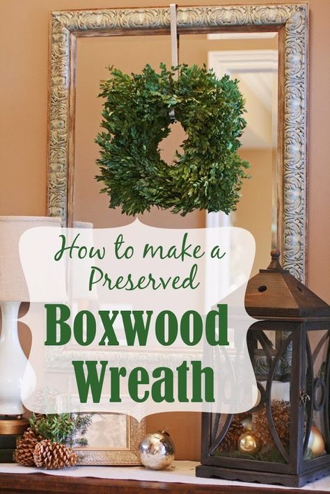 A few weeks ago, I posted a tutorial on how to preserve boxwood in preparation for making a boxwood wreath.  I was actually planning to make two and I still might, but lets take a look at the first one.  I’ve learned a few things that will make the next one easier, and of … Light Green Paint, Wreath Workshop, Preserved Boxwood Wreath, Green Spray Paint, Square Wreath, Preserved Boxwood, Hygge Christmas, Diy Shows, Paper Daisy