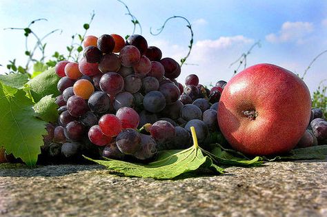 Bible Food, Bible Diet, Vacation Bible School Themes, Grape Vineyard, Family Bible Study, Jesus Photo, Bible Time, Mediterranean Diet Recipes, 21 Day Fix