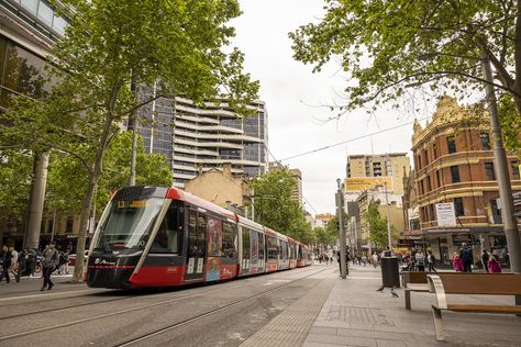 George street Sydney Sydney