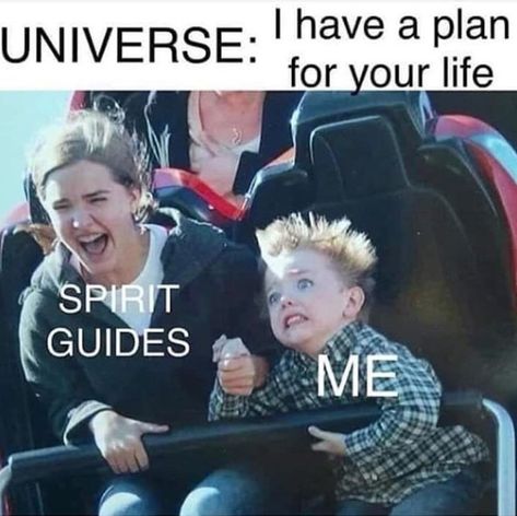 The Universe has a plan for your life Witch Jokes, Funny Spiritual Memes, Witch Meme, Image Positive, E Card, Spirit Guides, Roller Coaster, Bones Funny, Funny Cute