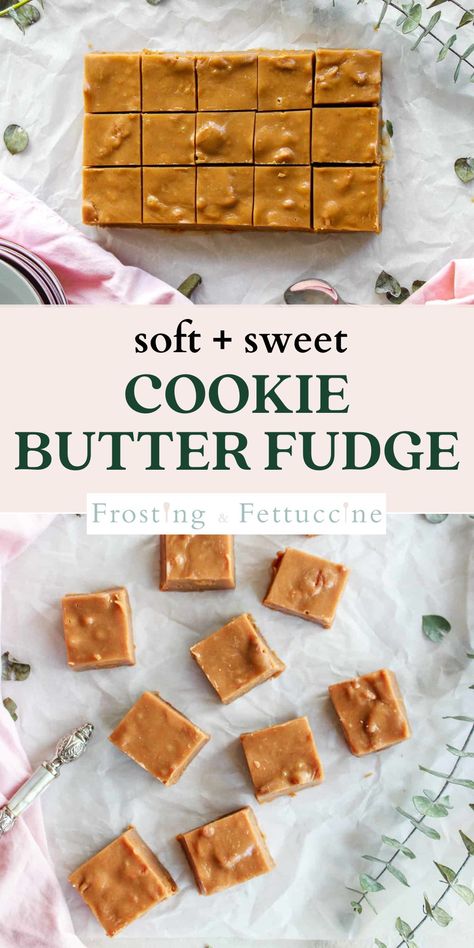 Cookie Butter Fudge Recipe, Biscoff Fudge Recipe, Fudge Sweetened Condensed Milk, Condensed Milk Recipes Desserts Easy, Fudge With Sweetened Condensed Milk, Cookie Butter Fudge, Sweetened Condensed Milk Fudge, Classic Fudge Recipe, Biscoff Fudge