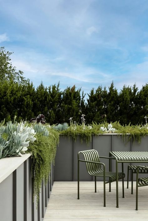 A Renovated Historically Significant Home In Melbourne Rooftop Terrace Garden, Rooftop Garden Urban, Apartment Rooftop, Tiny Patio, Terrace Building, Melbourne Home, Balcony Planters, House Cladding, Garden Retreat