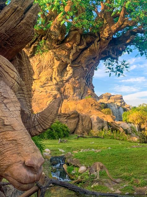 Disneys Animal kingdom tree of life Animal Kingdom Tree Of Life, Disney Animals, Disney S, Animal Kingdom, Tree Of Life, Disney, Animals