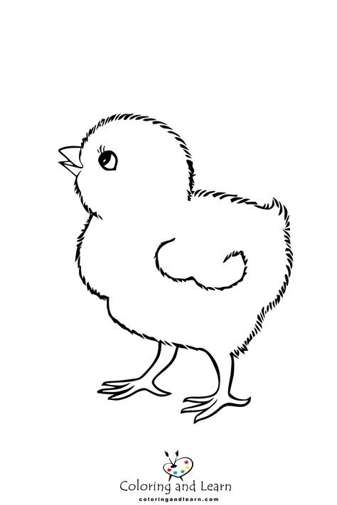 Best printable Chick Coloring Pages - Chick coloring pages offer delightful and educational entertainment for kids. These printable pages feature adorable baby chicks in various poses and ... - drawing Pictures Of Chickens To Paint, Baby Chick Drawing, Chicks Drawing, Boat Captions, Chick Drawing, Draw A Chicken, Chicken Coloring Pages, Easter Chick Craft, Umbrella Drawing