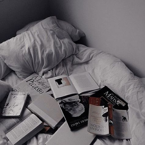 Megumi Aesthetic, Donna Tartt, Megumi Fushiguro, Books