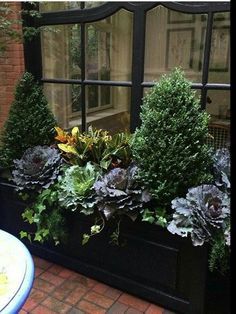 Potting Room, Italian Patio, Boxwood Landscaping, Winter Window Boxes, Backyard Goals, Winter Container Gardening, Fall Window Boxes, Happy Hallow, Fall Container Gardens