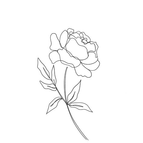 Peony Flower Line Art, Peonies Line Drawing, Camellia Tattoo Design, Peony One Line Drawing, Peony Line Art Tattoo, Peonies Line Art, Peony Line Tattoo, One Line Peony, Peony Tattoo Simple