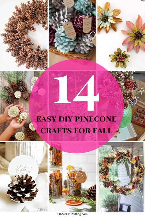 Diy Pinecone Crafts, Pinecone Turkeys, Crafts For Fall, Pinecone Fire Starters, Pinecone Centerpiece, Homemade Potpourri, Pinecone Crafts, Painted Pinecones, Fall Activity