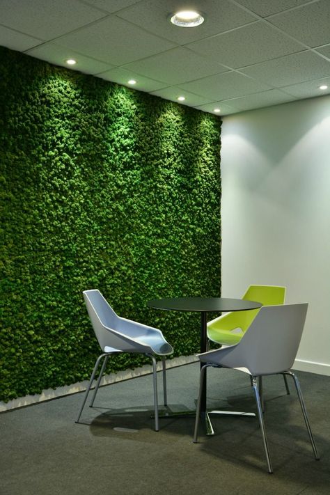 "Elevate Your Home Décor with Artificial Grass Art"

Brighten up your space with artificial grass wall art. Ideal for eco-friendly and stylish home décor. #GreenDecor #HomeTrends #WallArtIdeas Mos Wand, Green Wall Garden, Green Wall Design, Artificial Green Wall, Vertical Garden Design, Green Interior Design, Vertical Garden Wall, Moss Wall, Living Wall