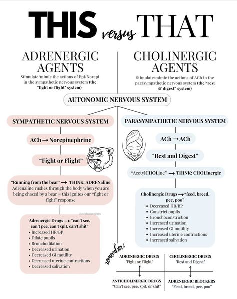 Anticholinergic Vs Cholinergic Nursing, Nursing Notes Pharmacology, Cns Stimulants Pharmacology, Crna Study Guide, Autonomic Pharmacology, Respiratory Pharmacology, Simple Nursing Study Guides, Autonomic Nervous System Pharmacology, Respiratory Therapy Student