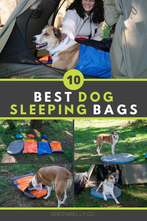 Dog Sleeping Bag, Ultralight Backpacking Gear, Backpacking Sleeping Bag, Dog Sleeping, Dog Camping, Dog Pillow Bed, Thru Hiking, Winter Hiking, Sleeping Bags