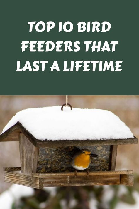 Bird feeder Bird Feeders Ideas, Gazebo Bird Feeder, Unique Bird Feeders, Backyard Birds Feeders, Wood Bird Feeder, Best Bird Feeders, Bird Feeder Plans, Squirrel Proof Bird Feeders, Bird Paradise