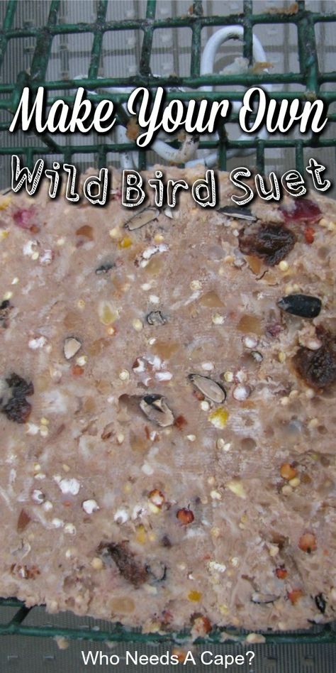 Feed your fine feathered friends with an easy to make Homemade Wild Bird Suet. Easy to make, you may never buy from the store again. Bird Seed Wreath Recipe, Suet Recipe, Backyard Birds Watching, Suet Bird Feeder, Bird Suet, Hummingbird Food, Suet Cakes, Bird Seed Ornaments, Homemade Bird Houses