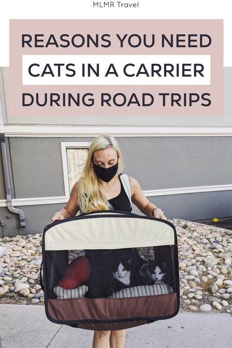 Traveling With Cats In Car Road Trips, Road Trip With Cat, Traveling With Cats In Car, Cat Road Trip, Travel With Cat, Cat Camping, Rv Cat, Cat Travel Accessories, Moving Kit