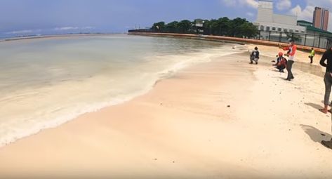 Manila Bay's White Sand Beach Temporarily Opens to the Public Today and Tomorrow Manila Bay Before And After, Manila Bay Noon, Philippine Aesthetic, Manila Bay, Clean Up Day, Lions Clubs International, Indie Singers, 3d Mural, Logo Facebook