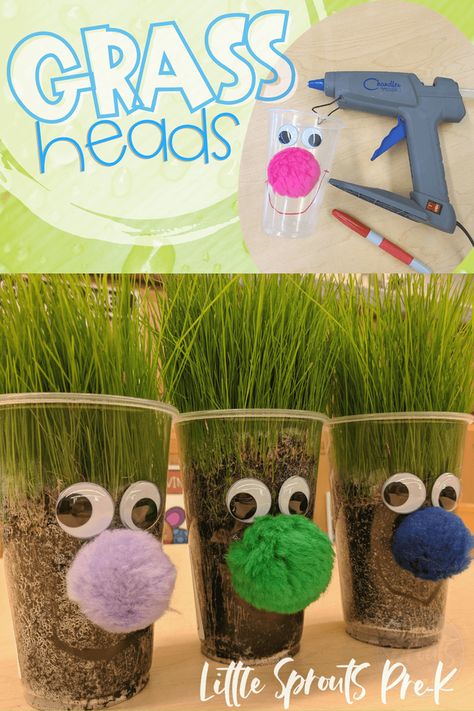 Grass Heads in Preschool, PreK and Kindergarten Sensory Tub, Plant Activities, Dried Black Beans, Planting Tools, Marker Paper, Old Cards, Old Magazines, Circle Punch, How To Make Paint