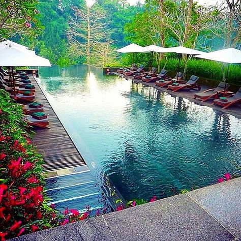 Heaven on earth  Maya Ubud Bali - Indonesia ✨✨ Picture by ✨✨@TimothySykes✨✨ follow him for awesome travel/lifestyle posts!!! Bail Indonesia, Ubud Resort, Indian Railways, Ubud Bali, Napoleon Hill, I Want To Travel, Ubud, Travel Inspo, Heaven On Earth