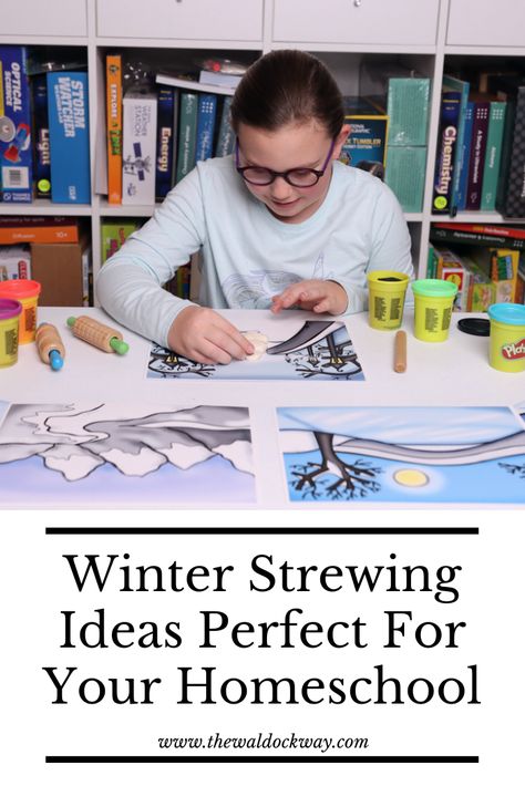 Strewing Ideas, Winter Homeschool, Stem Learning Activities, Winter Sensory Bin, School Planning, Math Activities For Kids, Wet Felting Projects, Winter Books, School Plan