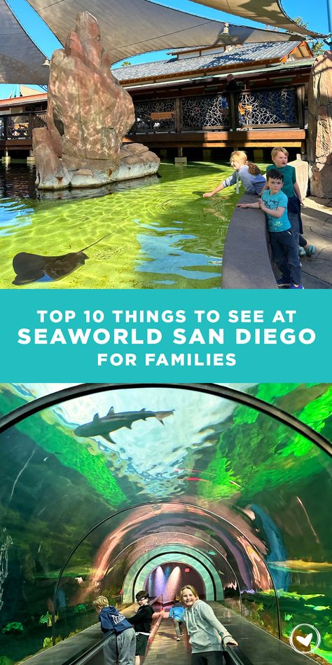 Sea World San Diego Tips, Outfits For Seaworld, Seaworld Outfit, Sea World San Diego, San Diego Activities, San Diego Map, Seaworld San Diego, San Diego Food, California Trip