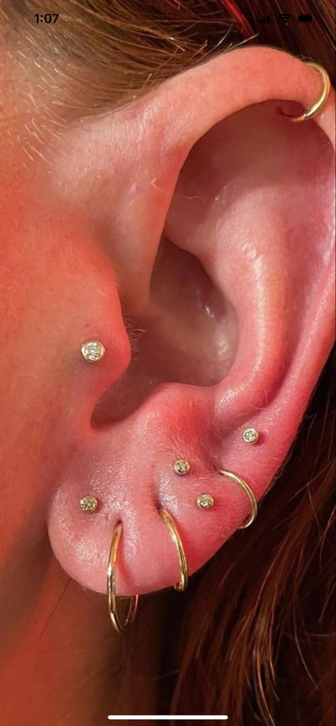 Pre Lobe Piercing, Inner Lobe Piercing, Hidden Piercings, Standard Lobe Piercing, Lower Lobe Piercing, Standard And Upper Lobe Piercing, Transverse Lobe Piercing Earrings, Hide Piercings, Transverse Lobe Piercing