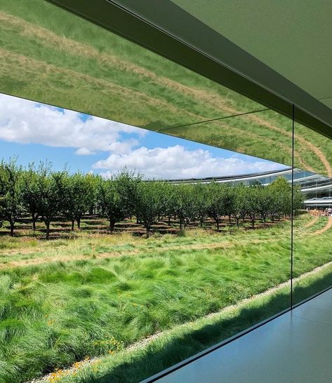 Campus Landscape Architecture, Apple Campus 2, Apple Campus, Campus Landscape, Apple Park, Park Landscape, Office Building, Amazing Architecture, Northern California