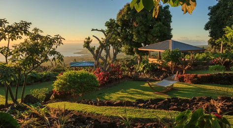 Big Island Bed and Breakfast | On 30 Acres with Panoramic Ocean Views Mauna Kea Beach Hotel, Island Bed, Australia Travel Bucket Lists, Waikoloa Village, Hawaii Big Island, Hawaiian Resorts, Trip To Hawaii, Hawaii Travel Guide, Marriott Resorts