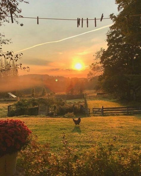 Country Time Quiet Photos, Outdoors Aesthetic, European Summer Aesthetic, Dream Houses, European Summer, Nature Aesthetic, Country Life, Quote Aesthetic, Farm Life