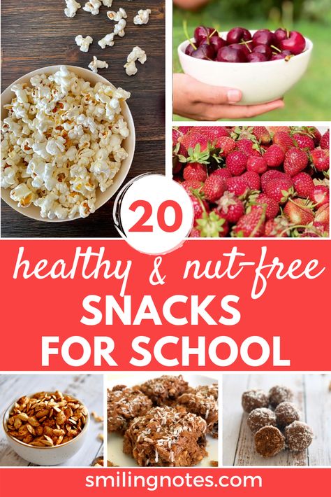 20 Healthy & Nut Free Back to School Snack Ideas Healthy School Snacks Nut Free, Nut Free Snacks For Kids School, Nut Free Protein Snacks For Kids, Homemade School Snacks Nut Free, Nut Free School Snacks, Peanut Free Snacks For Kids, Nut Free Lunches For Kids, Nut Free Kids Lunch, Nut Free Lunch Ideas