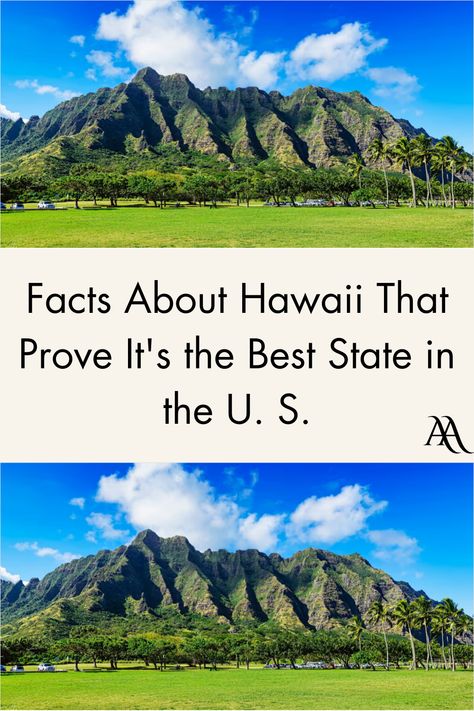 Facts About Hawaii, Prove It, Hidden Gem, Facts About, Hawaii, Good Things