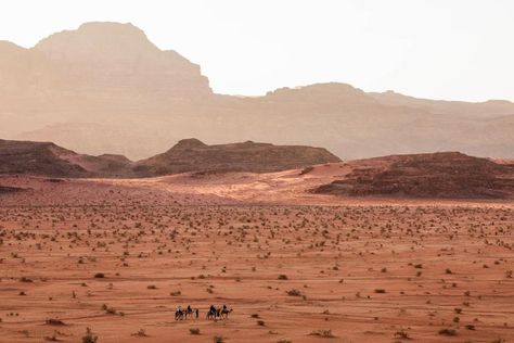 Jordanian Desert, Desert Night, Harmony Of The Seas, Landscape Painting Tutorial, Red Sand, Wadi Rum, Desert Art, Desert Sunset, Perfect Night