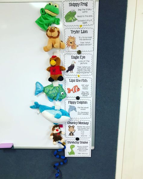 In love with my ‘Super Seven Strategies’ display 😍 I decided to make the wall 3-D using stuffed animals as mascots for the strategies. I’m… Classroom Stuffed Animal, Stuffed Animal Display, Animal Mascot, Chunky Monkey, Classroom Management Strategies, Management Strategies, Kindergarten Literacy, Teacher Teacher, Classroom Management