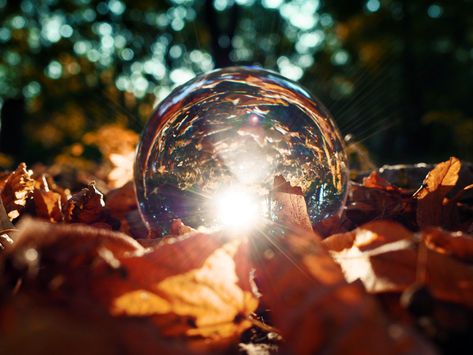 📸 Lensball photo autumn leaves📸 Lensball Photography Ideas, Ball Photography, Photography Photos, Crystal Ball, Aesthetic Wallpaper, App Icon, Photography Ideas, Autumn Leaves, Color Me