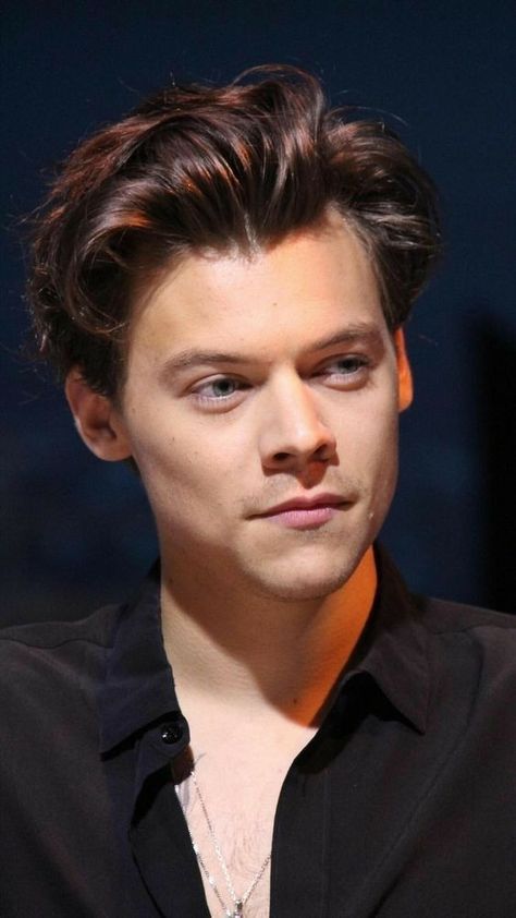 Harry Styles Hairstyles, Styles Hairstyles, Harry Styles, Hairstyles, Hair, Black