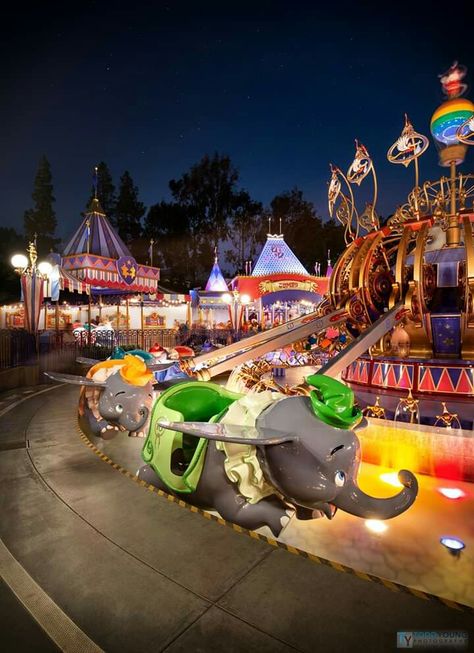 Dumbo Ride Disneyland, Disneyland Rides, Disney World Rides, Disney Pics, Disney World Outfits, Disney Rides, Disney World Magic Kingdom, Disney Photography, Disneyland California