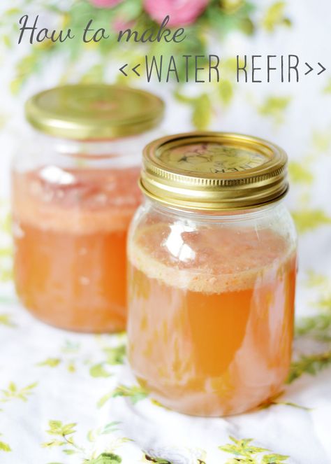 how to make water kefir uk Homemade Probiotics, Tasty Smoothie Recipes, Coconut Water Kefir Recipes, Coconut Water Smoothie Recipes, Water Kefir Vs Kombucha, Raw Kefir, Kefir Water, Coconut Water Popsicles, Kefir Benefits