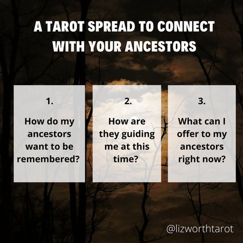 Connecting With Your Ancestors All Year-Round Ancestor Veneration, Tarot Business, Ancestry Dna, Tarot Tips, Tarot Astrology, Personal History, What Is Your Name, My Ancestors, Irish Traditions