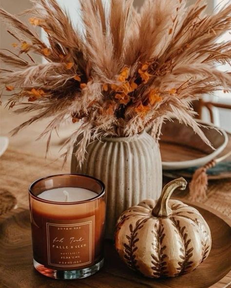 Interiors like these make us so excited for cosy Autumn days and nights🍂who’s getting their home ready for the change in season? Swipe for inspo🤩 📸 @kellyprincewright . . . #autumn #september #cosy #interiordesign #cosyseason #interiorstyling #craftedshutters #livingroom #livingroomdecor #livingroominspo #tablestyling #coffeetabledecor #autumnvibes Christmas Home Screen, Indoor Fall Decor, Festive Halloween Decor, Seasonal Decor Fall, Classroom Christmas Decorations, Christmas Party Activities, Cosy Autumn, Fall Table Centerpieces, Easy Fall Decor