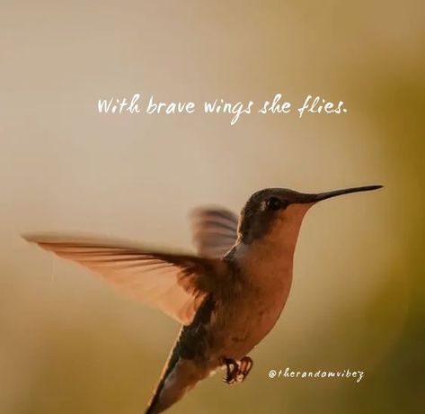 Hummingbird Quotes Simple, Bird Quotes Inspirational Short, Hummingbird Quotes, Quotes Journal Ideas, Brave Wings, Hippie Garden, Quotes Journal, Bird Quotes, Inspirational Quotes Posters