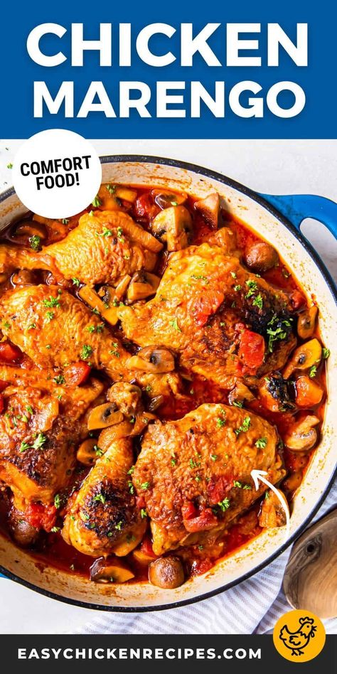 This Chicken Marengo is a flavorful, protein-packed dish that’s perfect for satisfying hungry appetites any night of the week. A historic recipe enjoyed by Napoleon himself!  Pop over to my site for this easy one pot dinner recipe! Quick Skillet Meals, Chicken Marengo, One Pot Chicken Recipes, One Pot Cooking, Chicken Thighs Recipes, Easy Sheet Pan Dinners, Flavorful Dinner, Chicken Skillet, Chicken Appetizers