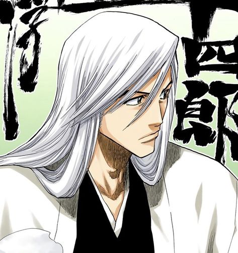 Ryuken Ishida, Ukitake Bleach, Ukitake Jushiro, Quincy Bleach, Ichigo Kurosaki, Bleach, Anime