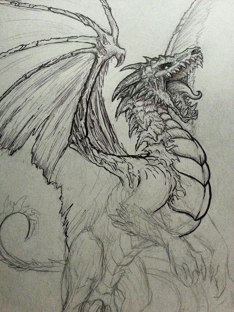 Undead Dragon Sketch by CrystalSully Undead Dragon, Hot Dog Place, Dragon Sketch, Dragon Sculpture, Dragon Tattoo Designs, Dragon Pictures, Desenho Tattoo, Dragon Artwork, Arte Sketchbook