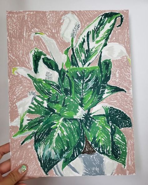 House Plant Illustration, Pastel Plants, Floral House, Oil Pastel Paintings, Oil Pastel Art, Oil Pastel Drawings, Peace Lily, Plant Drawing, Artwork Display