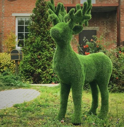 Trim Bushes, Green Sculpture, Recycled Garden Art, Unique Garden Art, Topiary Garden, Fairy Garden Designs, Lawn Art, Outdoor Garden Lighting, Garden Whimsy