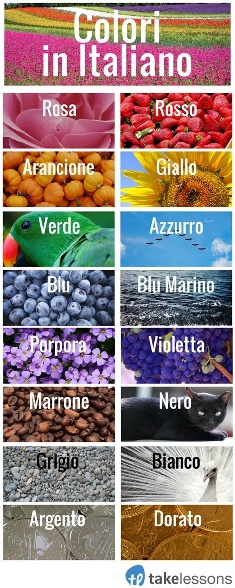 Italian Lessons For Beginners, Learn Italian Language Beginner, Italian Language Learning Basic, Learning Italian Beginners, Italian Beginners, Colors In Italian, Italy Language, Italian For Beginners, Italian Learning