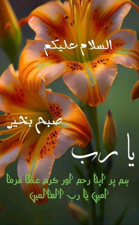 Suba Bakhair Urdu, Small Things Matter, Suba Bakhair, Islamic Greetings, Morning Dua, Gathering Ideas, Digital Watch Face, Birthday Cake With Photo, Assalamualaikum Image