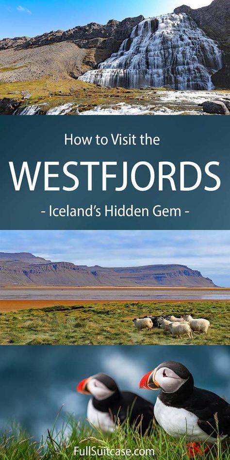 How to visit the Westfjords Region in Iceland - things to do, one day itinerary, and map #icelandtravel #westfjords Iceland Resorts, Iceland Summer, Iceland Hiking, Iceland Winter, Nashville Travel Guide, Iceland Vacation, Iceland Travel Guide, Iceland Itinerary, Iceland Road Trip