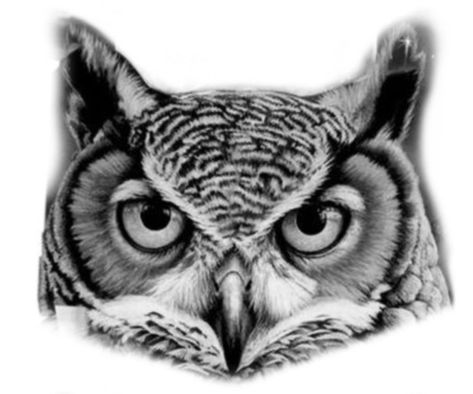 Owl Face Tattoo Design, Owl Eyes Tattoo Design, Owl Face Tattoo, Owl Head Tattoo, Owl Eyes Tattoo, Owls Tattoo, Owl Eye Tattoo, Praying Hands Tattoo Design, Inside Of Arm Tattoo