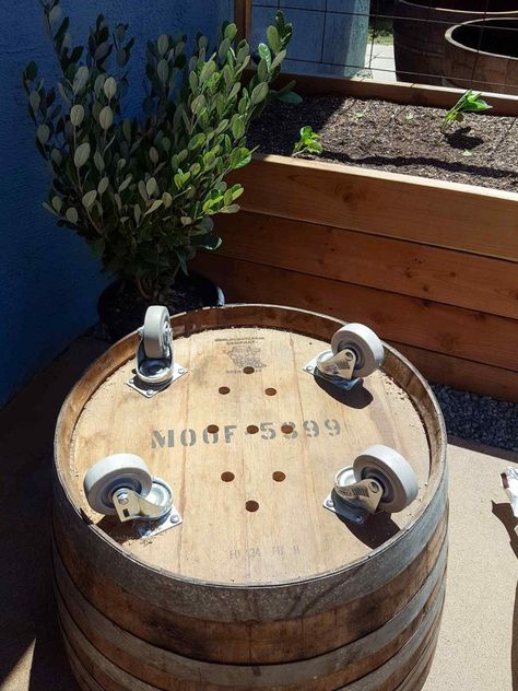 planting in wine barrels - Google Search Garden Bed On Concrete, Barrel Garden Ideas, Wine Barrel Diy, Building A Raised Bed, Barrel Garden Planters, Wine Barrel Garden, Wood Barrel Planters, Build A Raised Garden Bed, Whiskey Barrel Planter